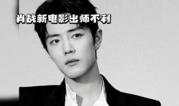 肖战最新爆料热门,最新爆料背后的故事与感悟